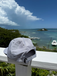 Performance Hat Classic Logo- Gray